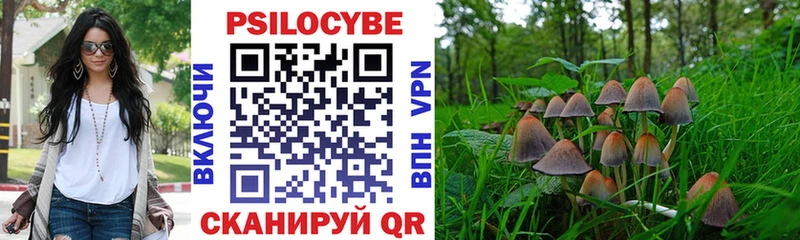 Псилоцибиновые грибы ЛСД  купить наркоту  Ливны 
